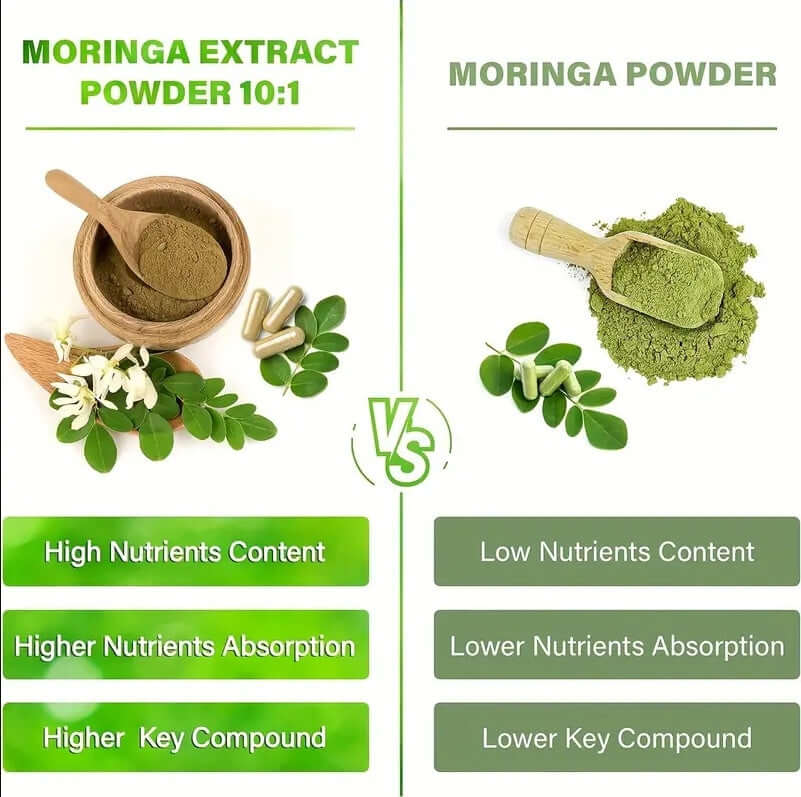 Pura Moringa Leaf – Energy, Metabolism & Immune Support